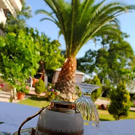 Olga Lounge Lefkada City